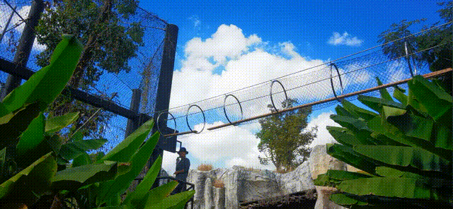 视频1 00_00_00-00_00_30.gif